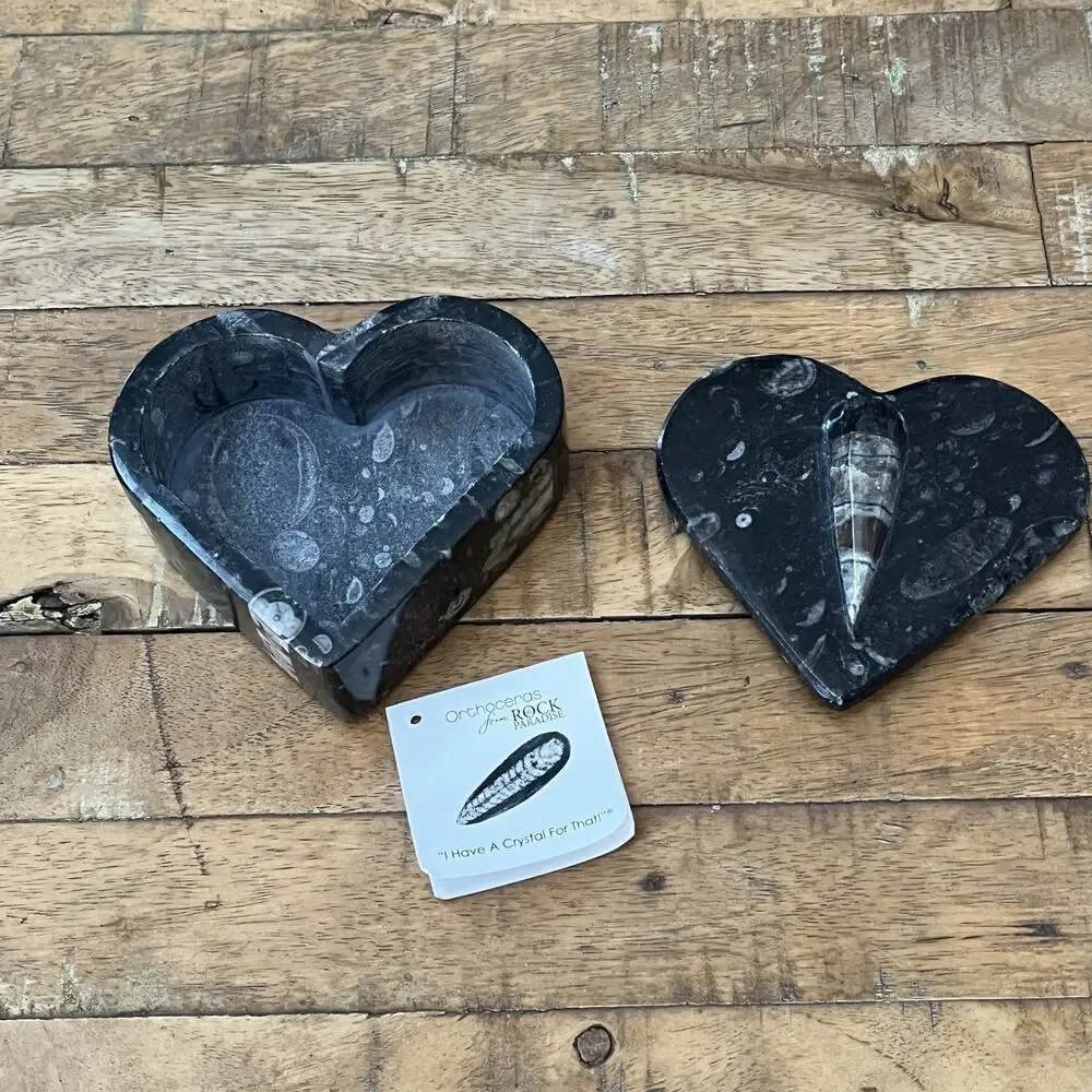 Orthoceras Fossil Heart Shaped Trinket Box 4